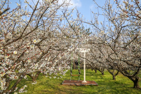 3045555a63b668af780c690153f09e9e_1644043