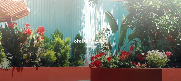 19adceb9b4cb5524c976c2584f470a8d_1770960